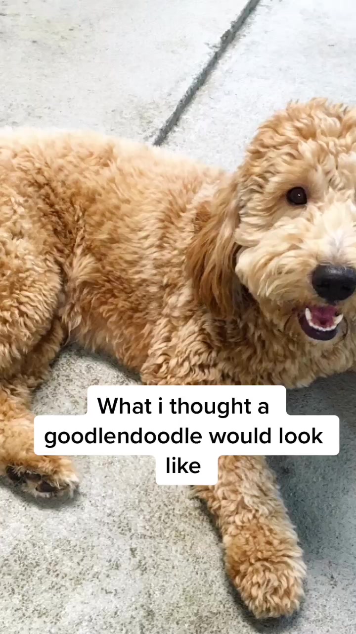 @Lia