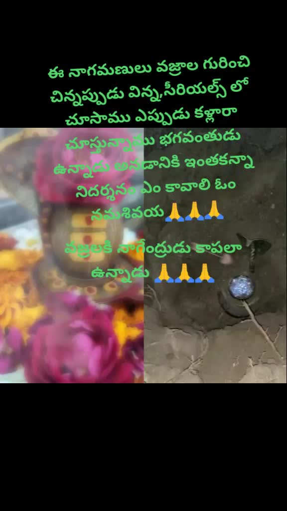 @y vinay
