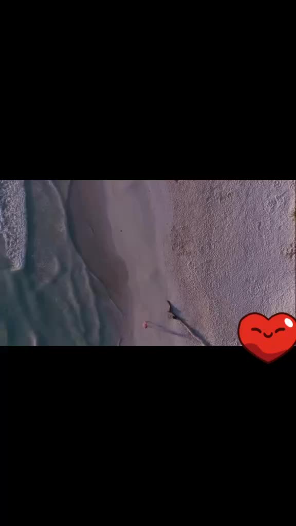 @युवराज सिंह👑