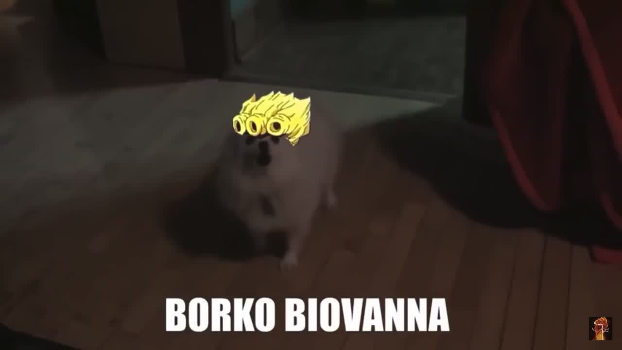 @joey