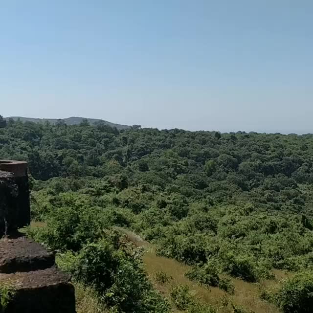 @आम्ही कोकणकर 🏝🚣🐬?