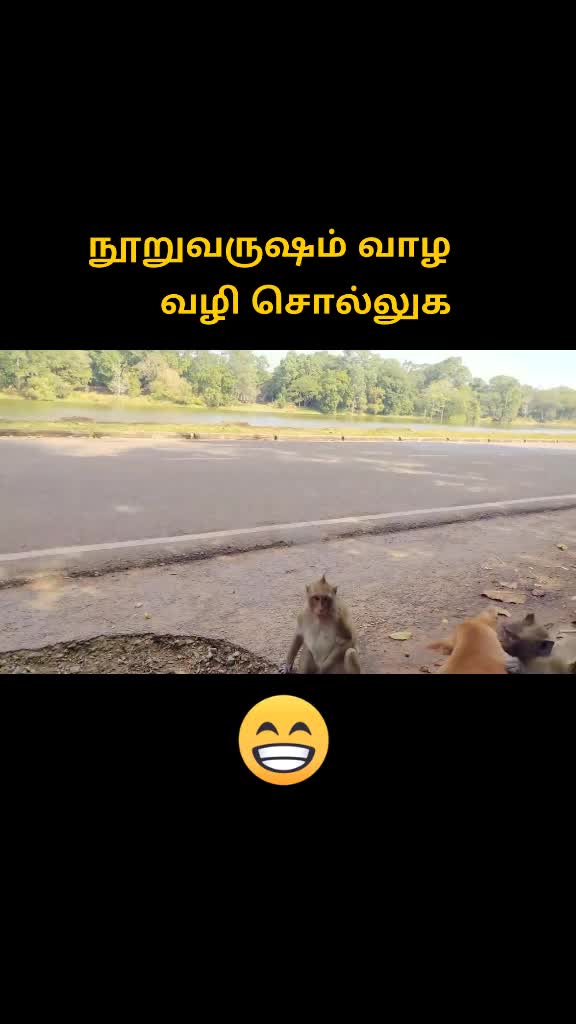 @ACTION-king-SATHYA