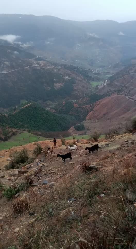 @पहाड़ी_ परवीन_07