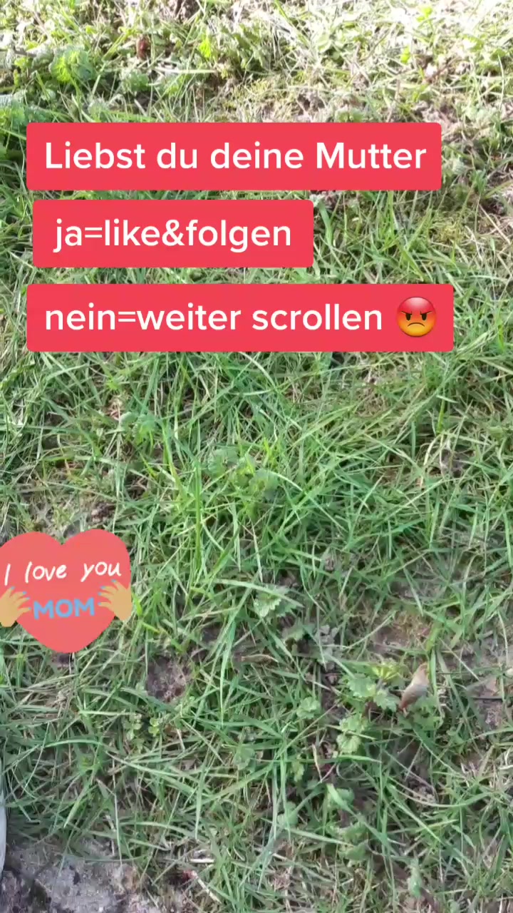 @try_tiktak