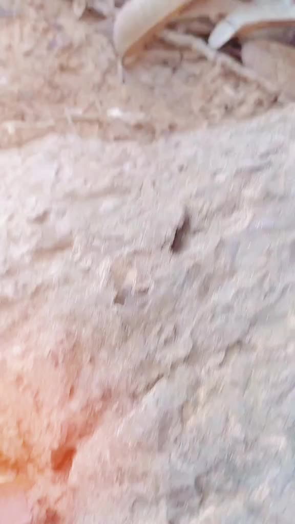 @🔥PRIŇCĒ &Ccedil;HH&Auml;Y&Aring;KĄNT&Aring;