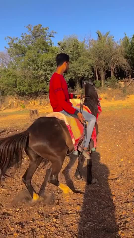 @j.b_ahir