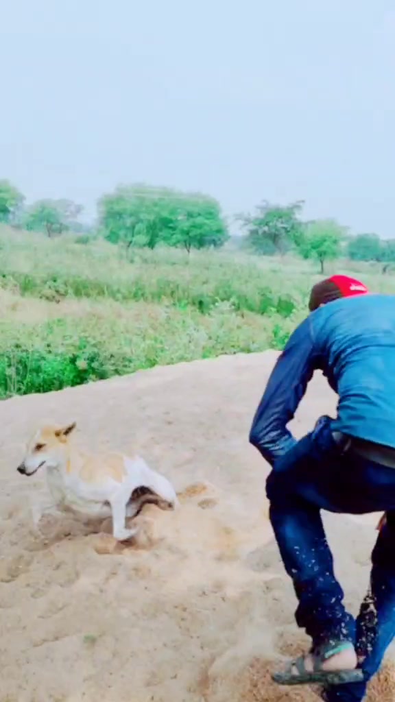 @Gajendra Rajput