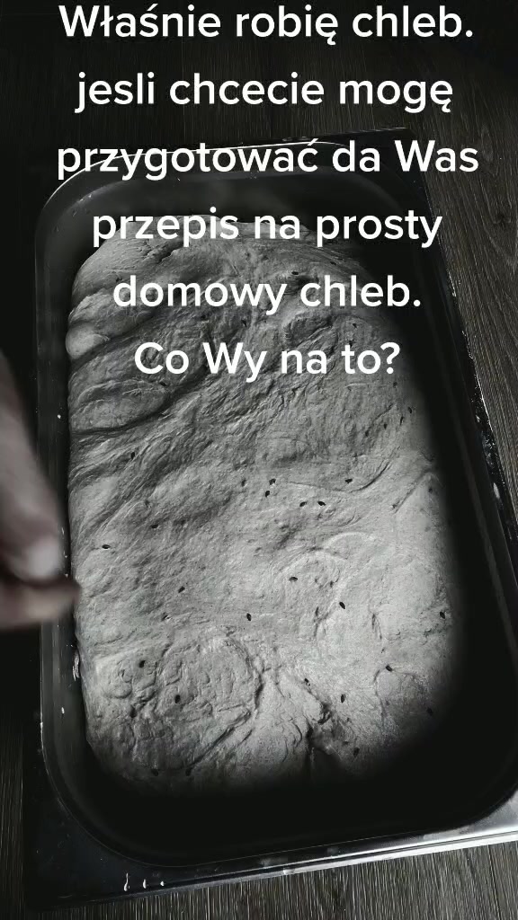 @jerzy nogal kuchta