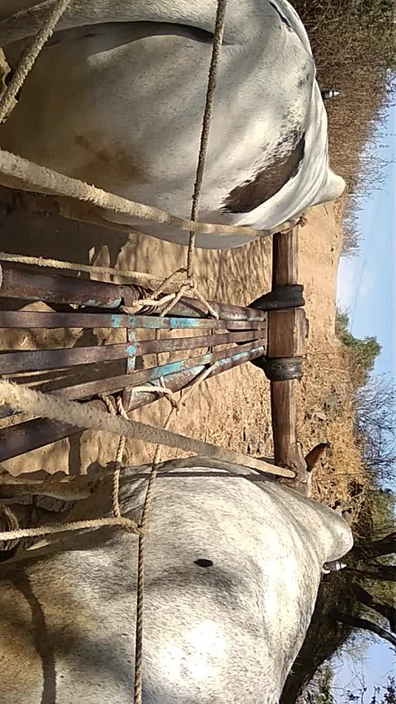 @दिपक पाटिल गलधर