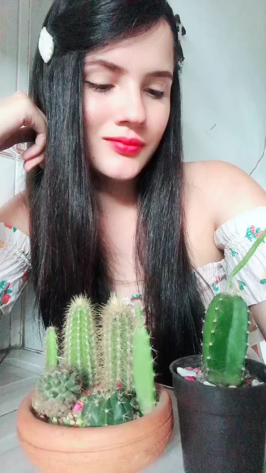 @aimaramoli