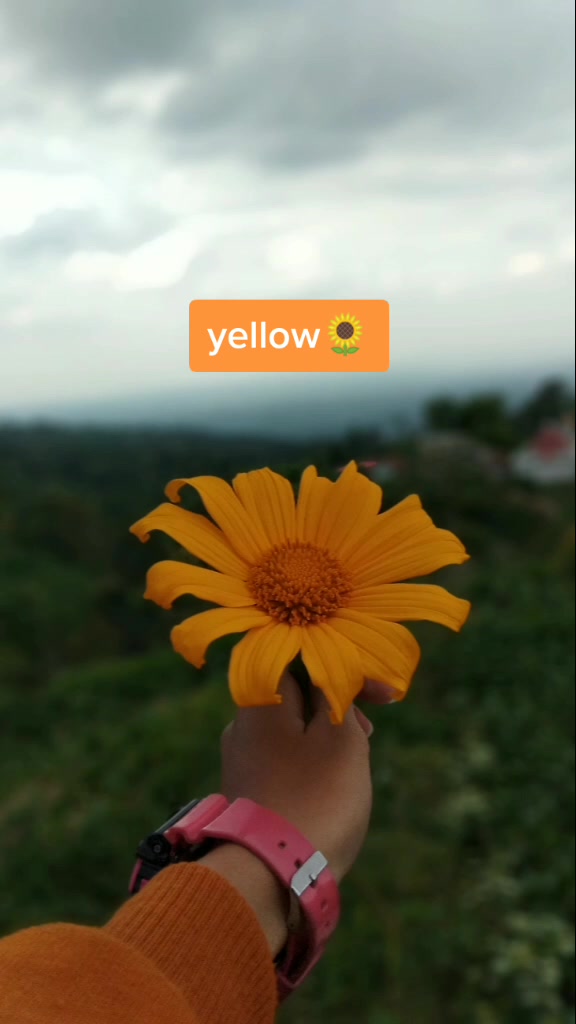 @Ditakusuma
