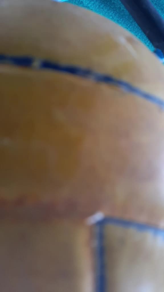 @user65065393038