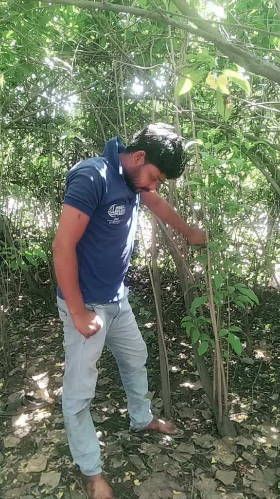 @Khilendra Shiware