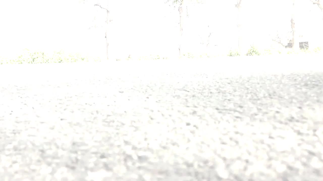 @Yuvraj Chauhan
