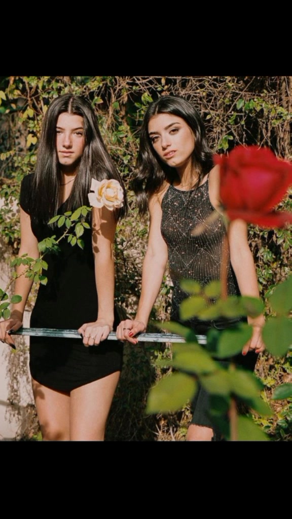 @charli damelio😻😻😻