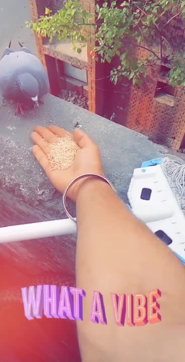 @ohi_dilraj_singh