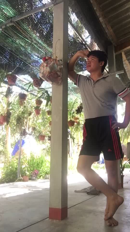 @luyen ok