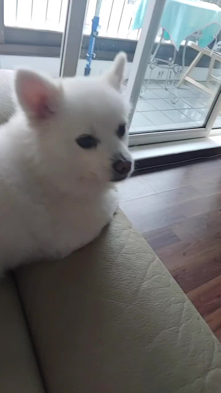 @🧩 쪼이 ( 옐 편집자 🧸 )🧩