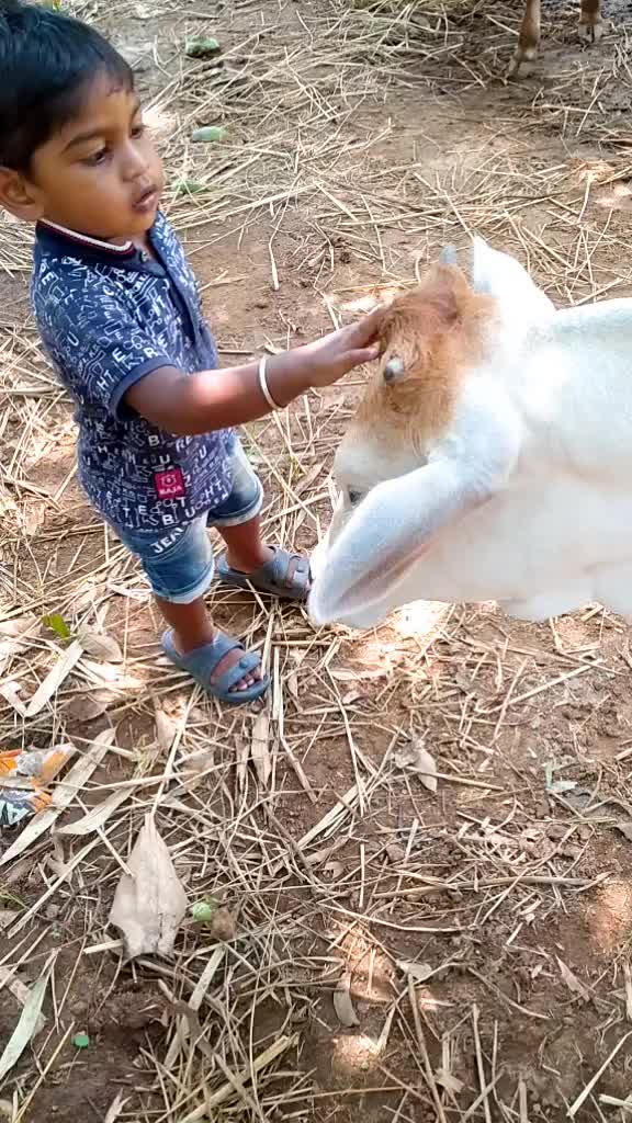@BADALA KUMAR143