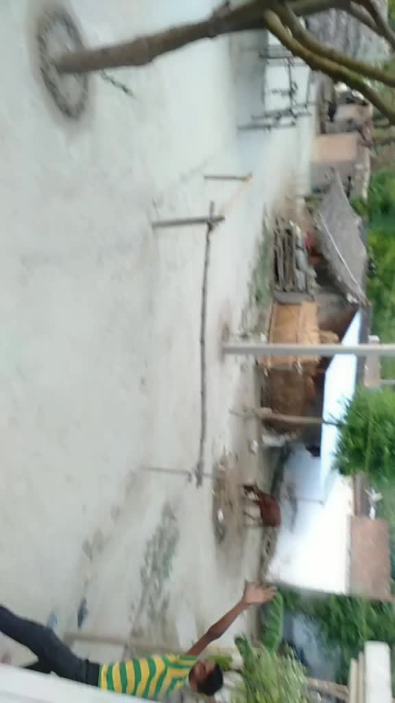 @user7187155500753