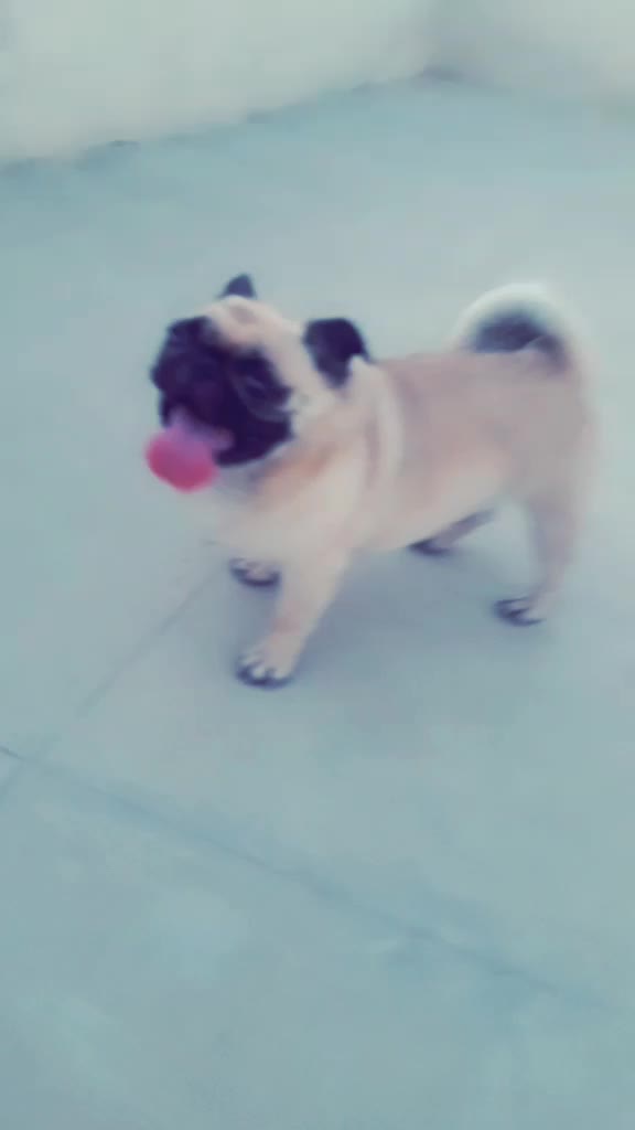 @Sab मोह Maya है👅