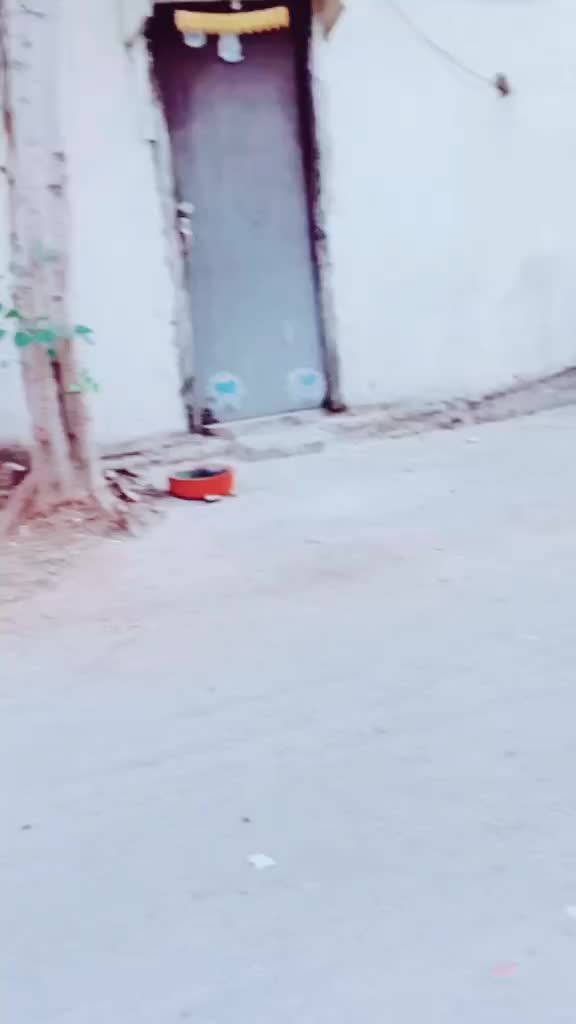 @chandannayak678