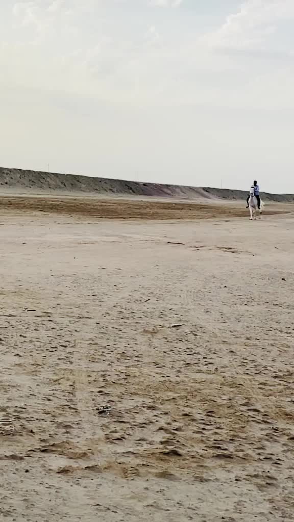 @Rahil Akhani