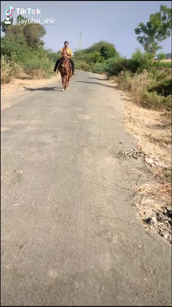@Murliwala Ayarr