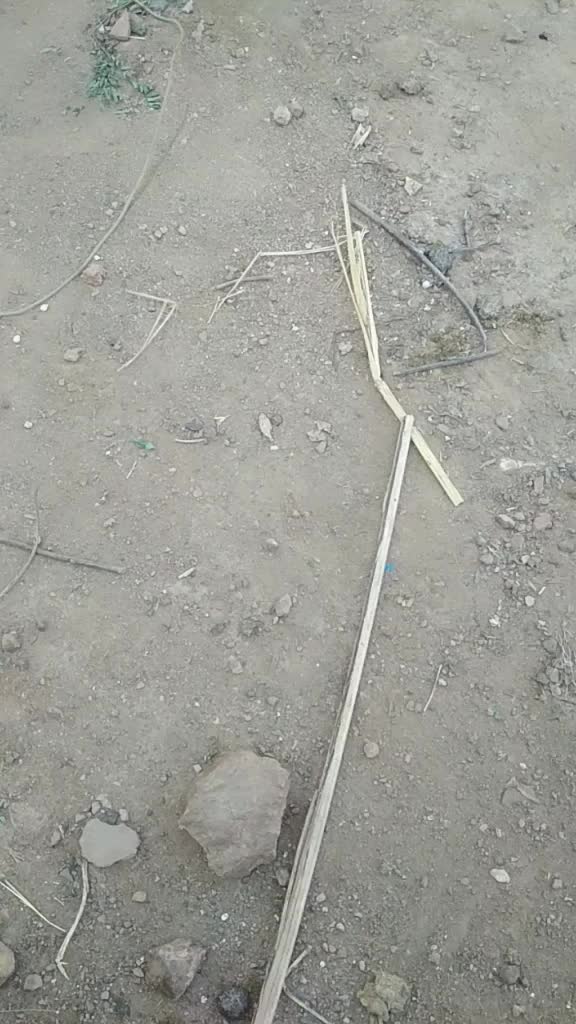 @Tanveer Kallimani