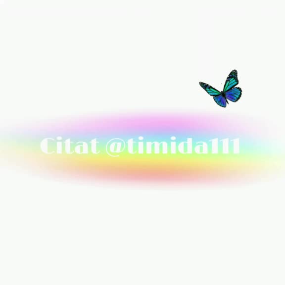 @♡《𝑪𝑰𝑻𝑨𝑻𝑬》♡