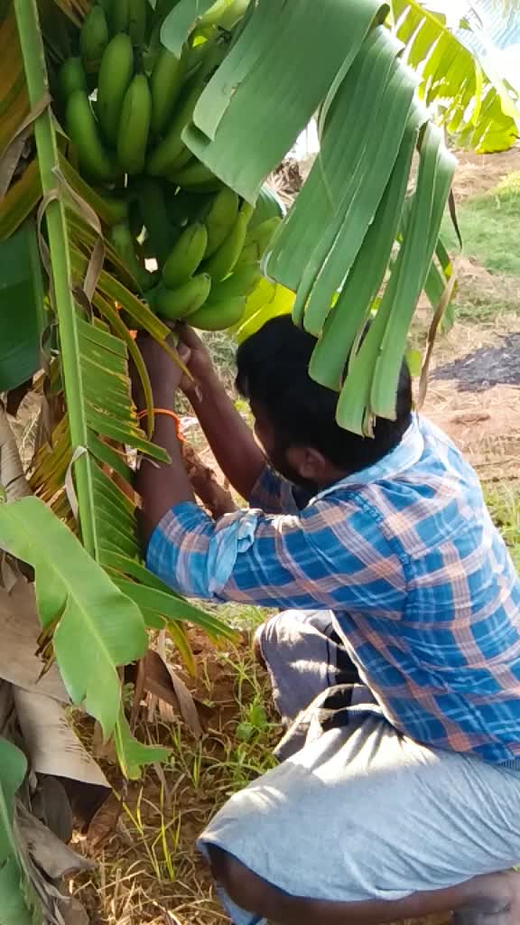 @manivasagam s