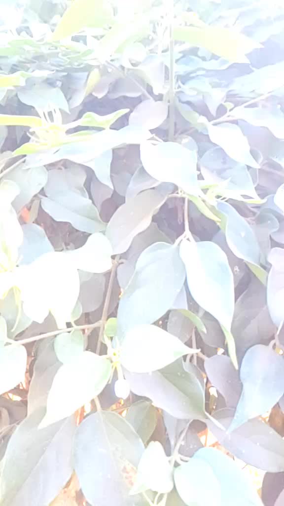 @saurabhchandel