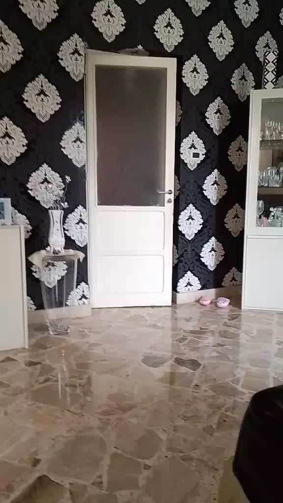 @gemellino99