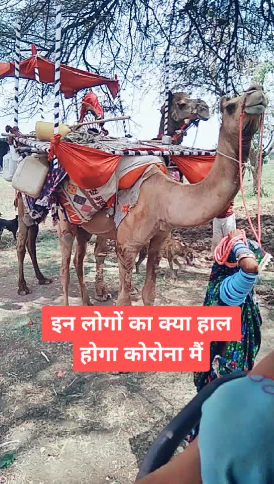 @जय श्री महाकाल राजा