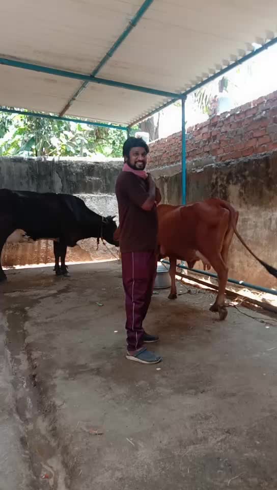 @Parthi Ban