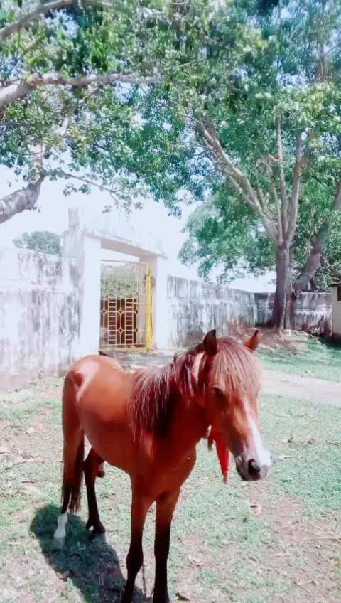 @Jagansamal55