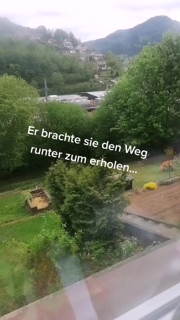 @❤️ Tiere ❤️