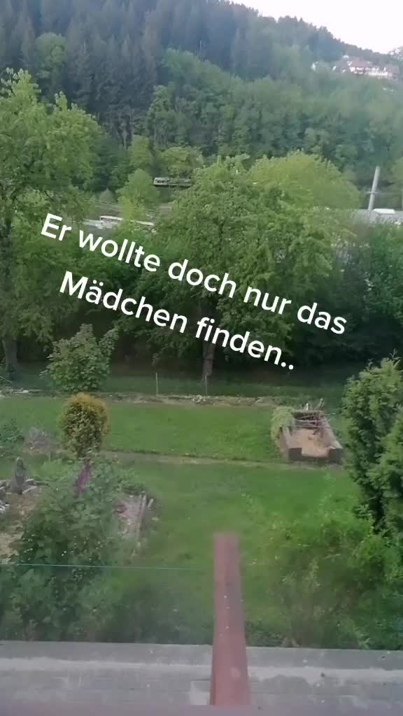 @❤️ Tiere ❤️