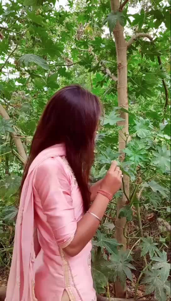 @Tanu rajodya