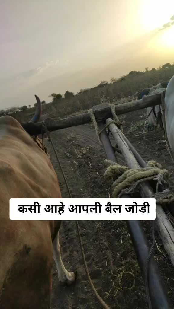 @Rameshwar lad