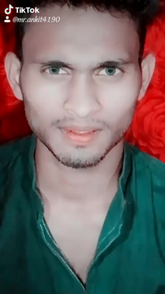 @bunny