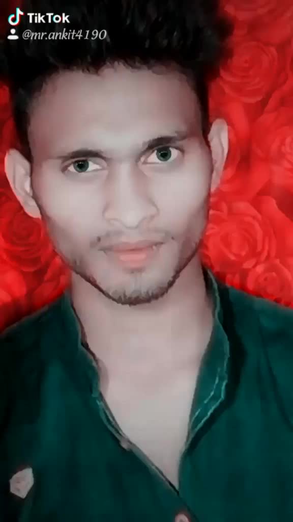 @bunny