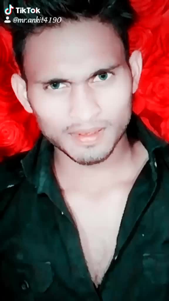 @bunny