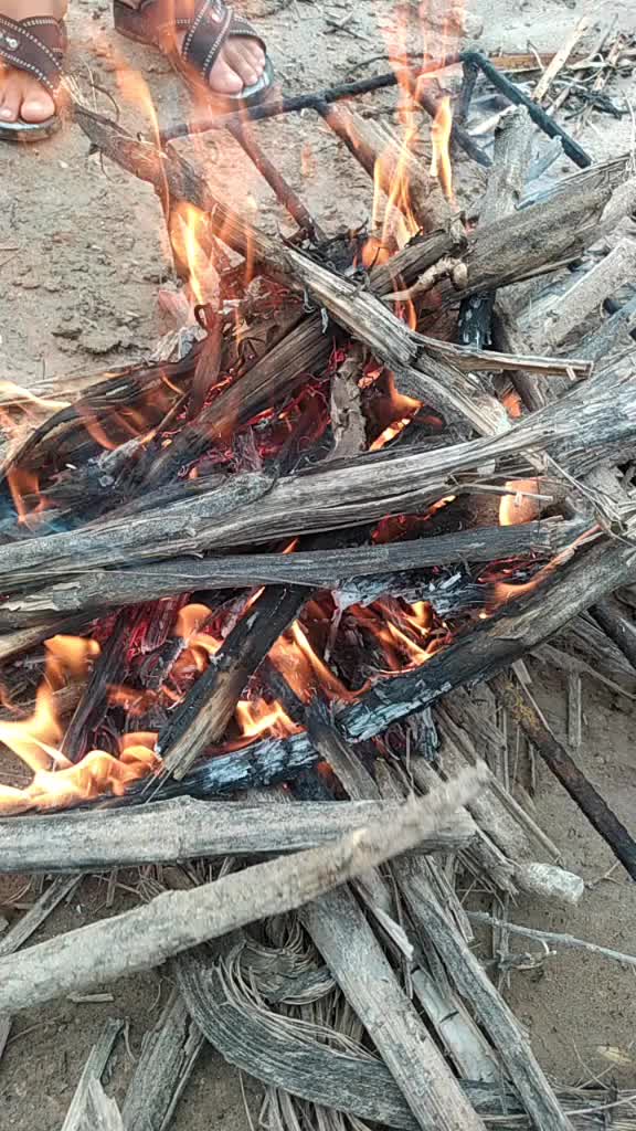 @&Ouml;mer abu enes