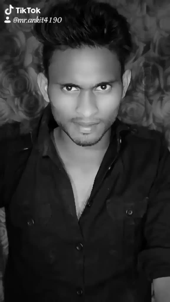 @bunny