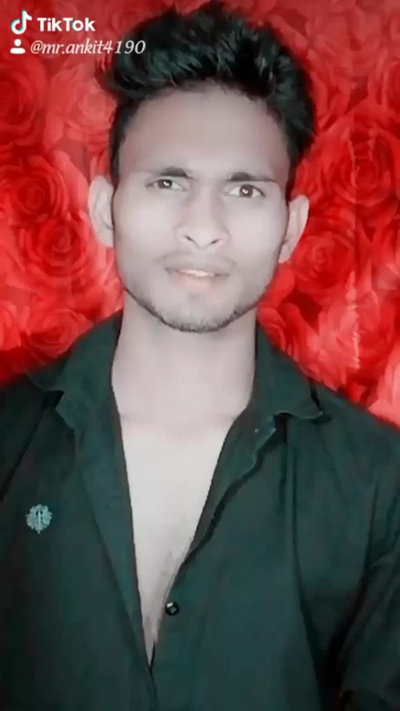 @bunny