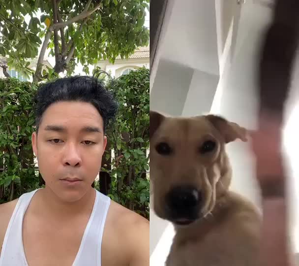 @brajaojoke