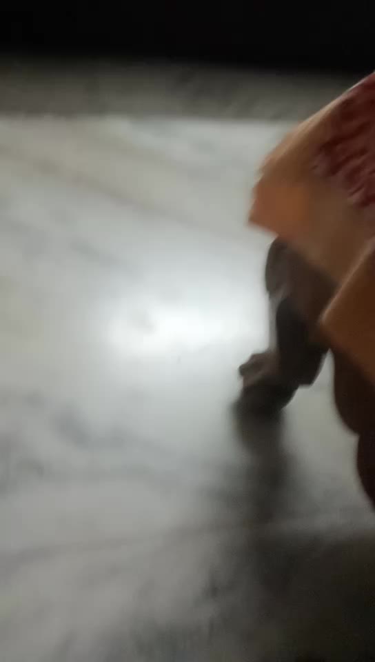 @user193409537902
