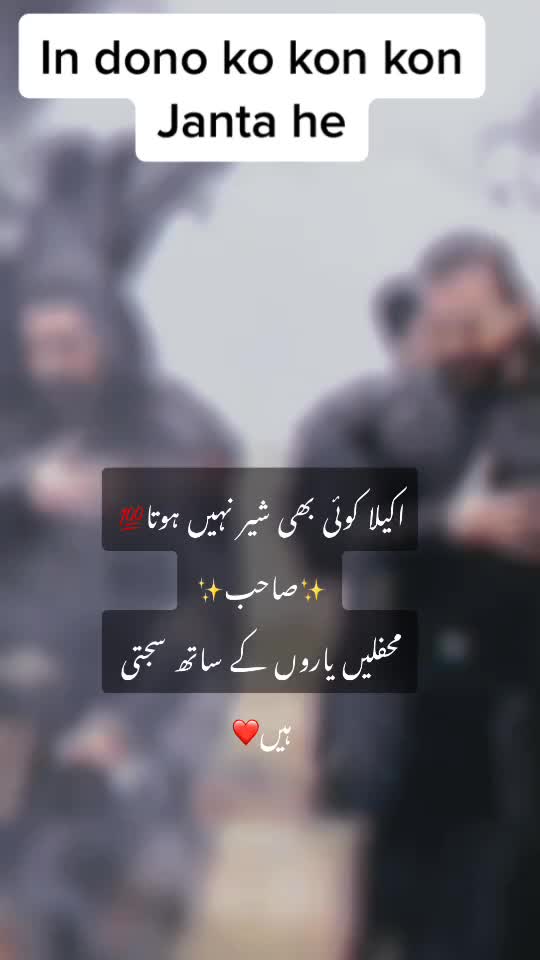 @M.r Faiz
