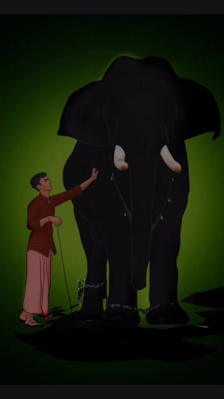 @veenapillai997
